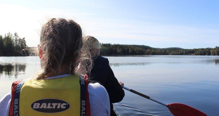 121058453 10159022677942088 8629786447168769035 N