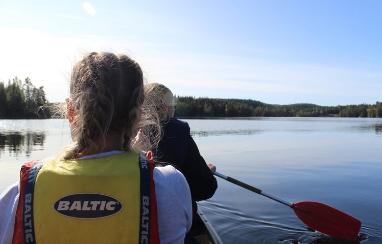 121058453 10159022677942088 8629786447168769035 N