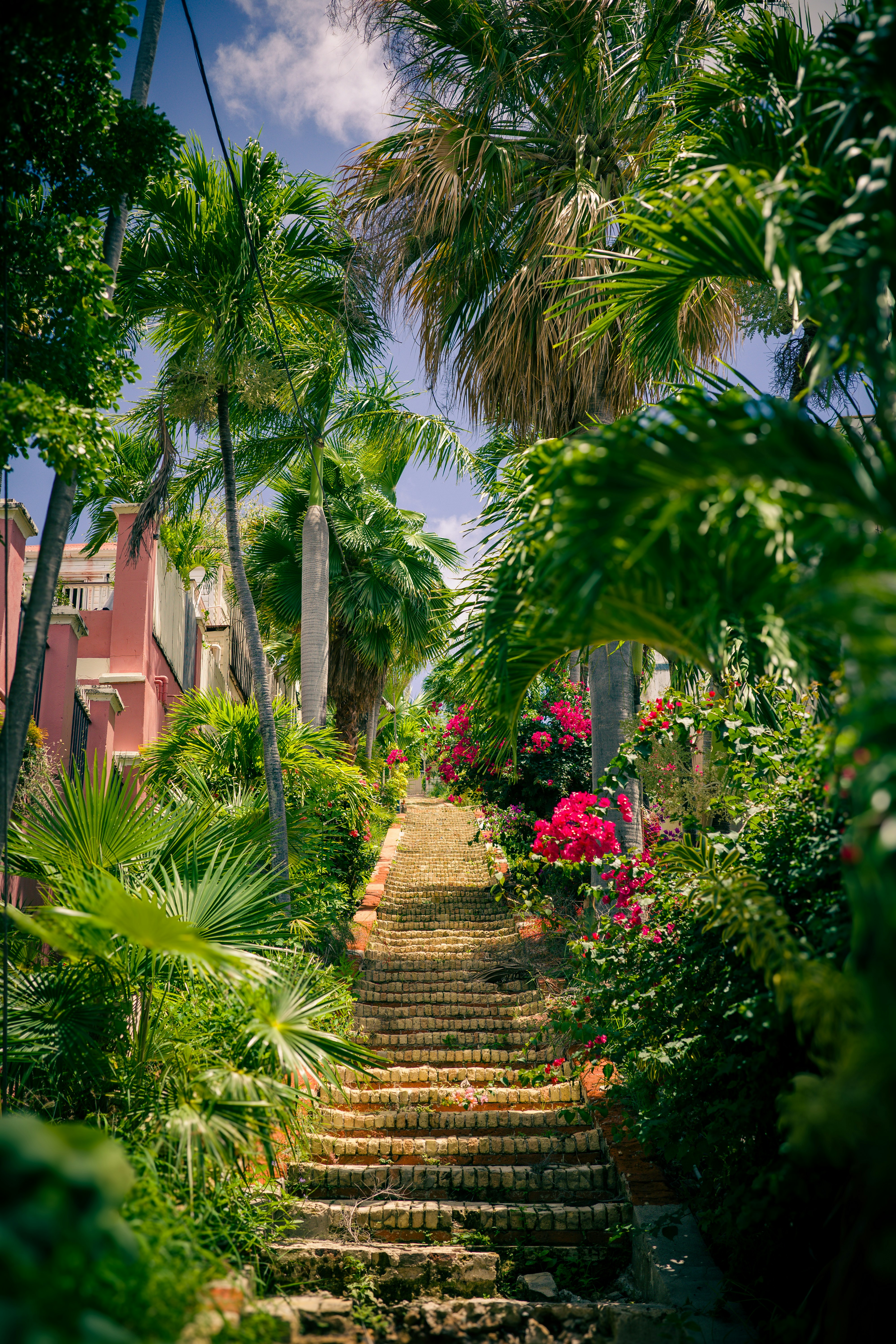 St Thomas (1)