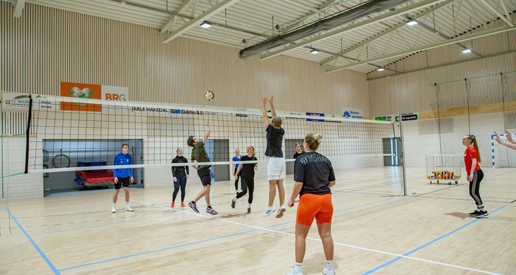 Volleyball 2
