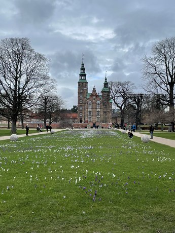 23 IMG 0392