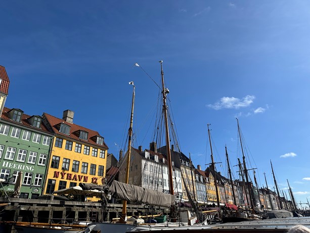 24 IMG 8961