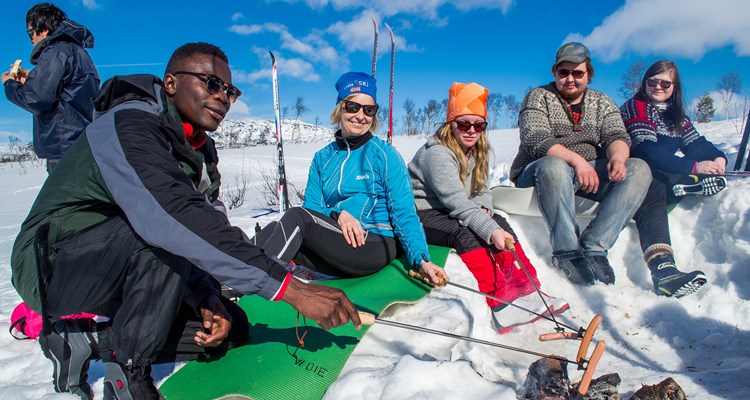 17 688098Ff3b57e212994f121c736f8593